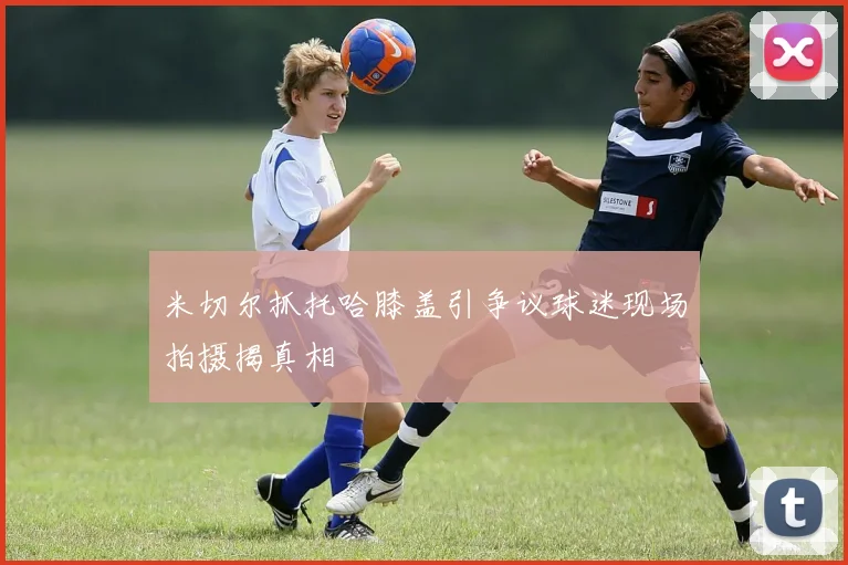 米切尔抓托哈膝盖引争议球迷现场拍摄揭真相